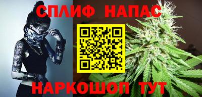 индика Мариинск
