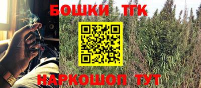 индика Мариинск