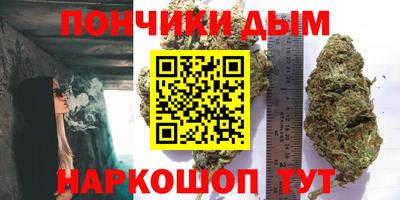 индика Мариинск